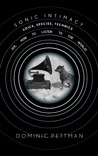 Sonic-Intimacy-cover